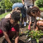 Community Outreach and Impact